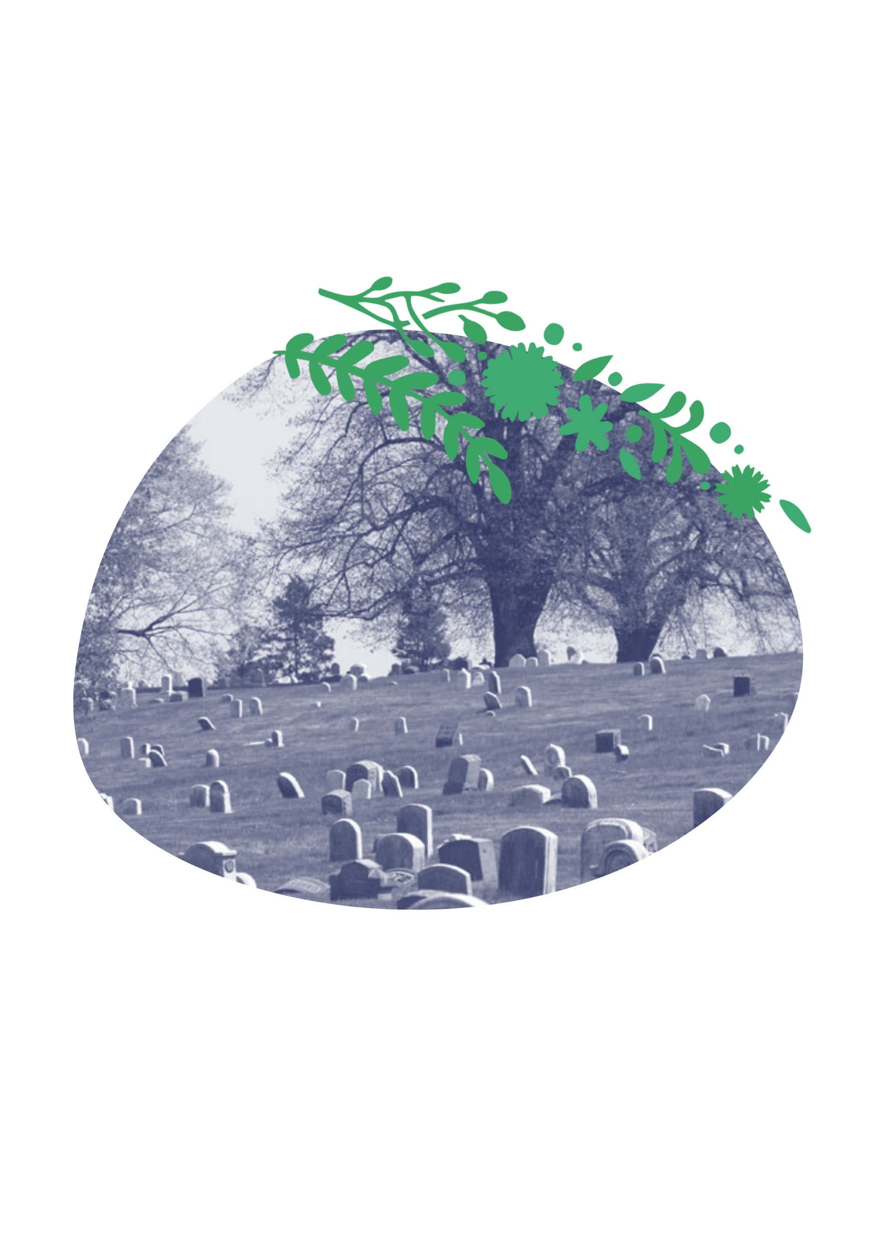 cimetière arboré